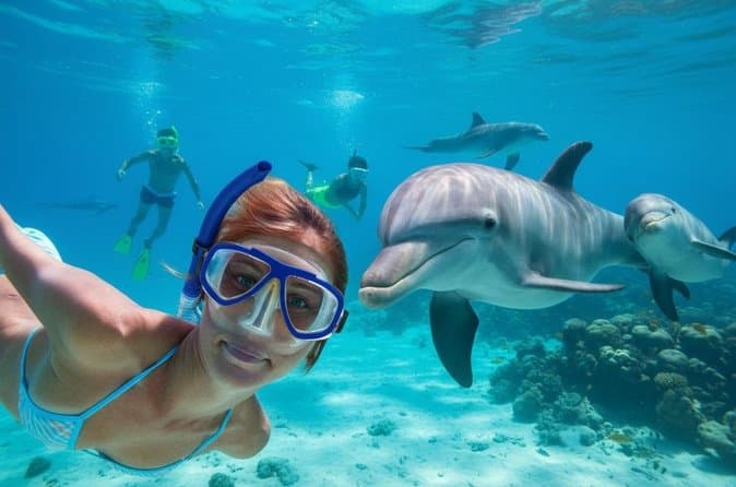 Swim with Dolphins at Dolphin House Hurghada Snorkeling Cruise