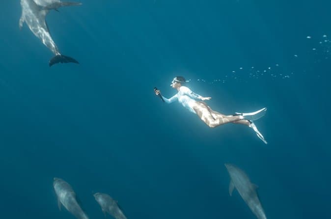 Private Speedboat Tour: Swim with Dolphins, Snorkeling - Hurghada