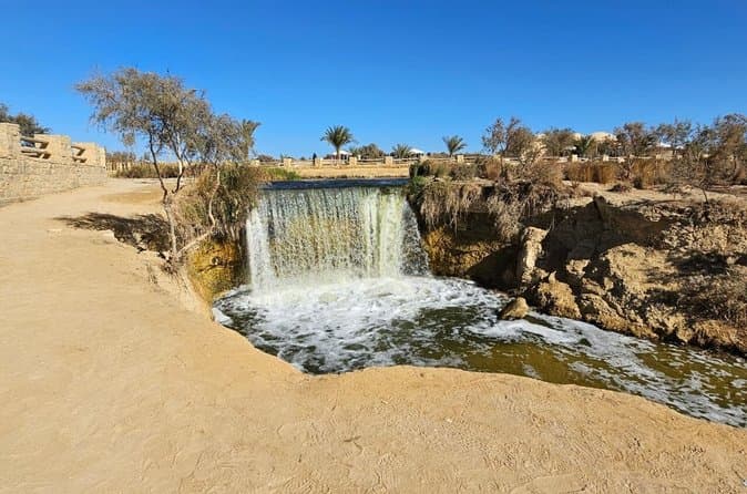 Fayoum Oasis Safari day tour Sandboarding, Breakfast, lunch& Boat