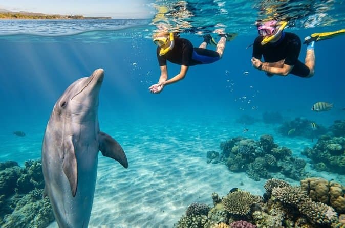 Hurghada Dolphin House Adventure
