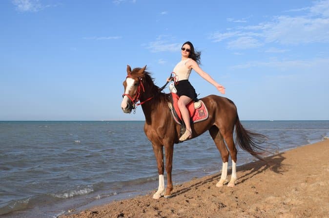 Hurghada Horse Back Riding with Transfer