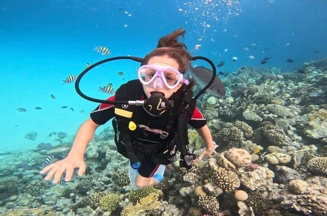 Sahl Hasheesh Elite Beach Dive and Coral Reef Experience