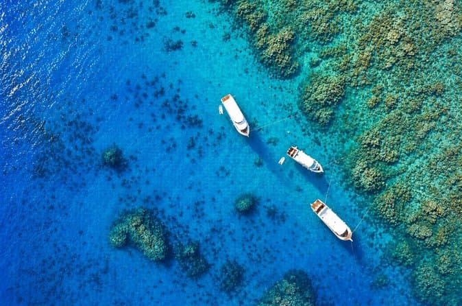Hurghada: VIP Seafood Yacht to 3 Islands, Dolphins & Snorkeling