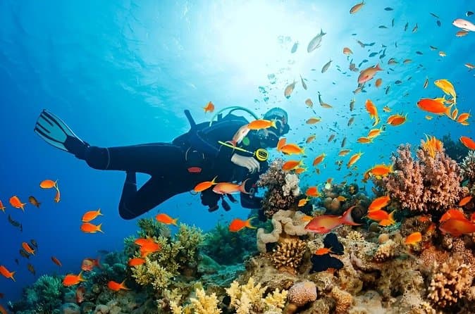 snorkeling & Diving Adventure by Boat in Hurghada