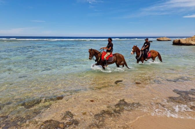 Horseback Riding Adventures in Makadi Bay