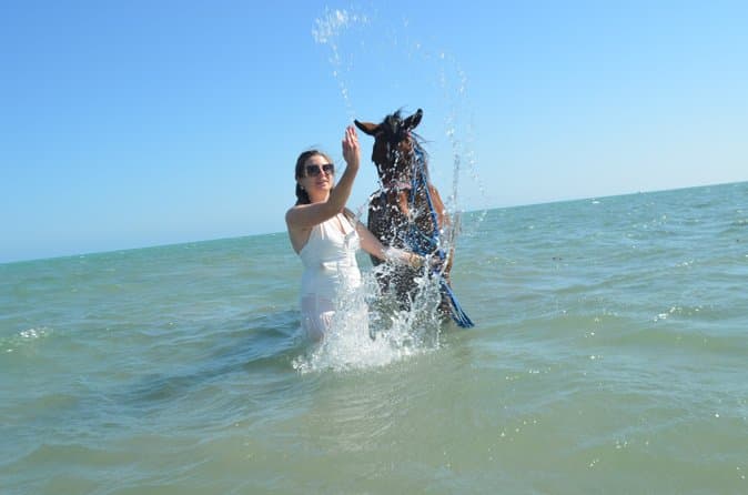 Hurghada Beach Desert Horseback Riding Experience