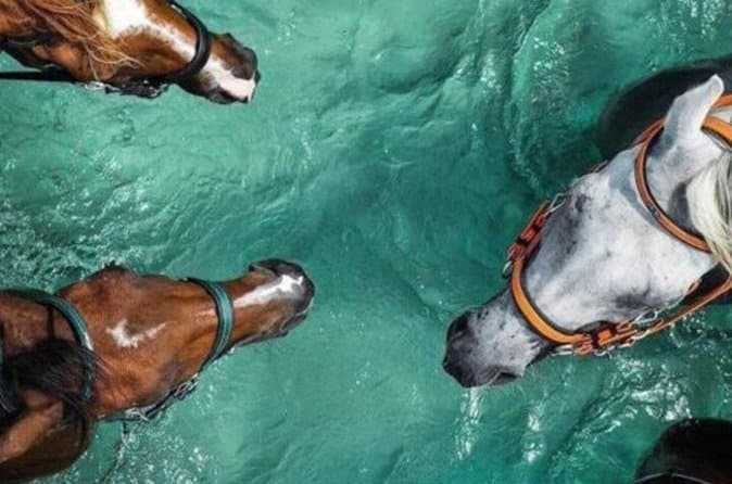 Horse Riding Beach 2 Hours