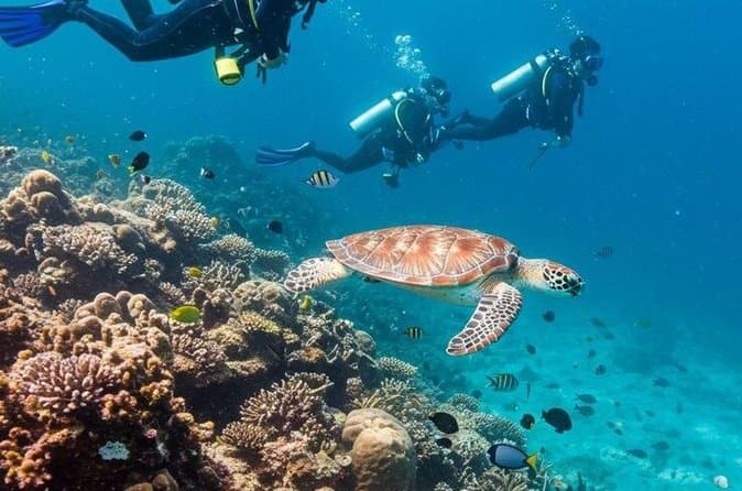 Red Sea Scuba Diving Adventure from Hurghada with Lunch Transfers