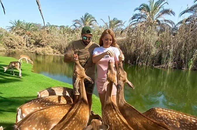 Africano Park Safari Family Friendly Animal Adventure