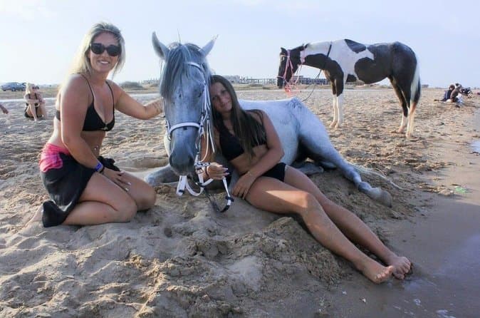 Hurghada Morning or Sunset Horse Riding for All Levels