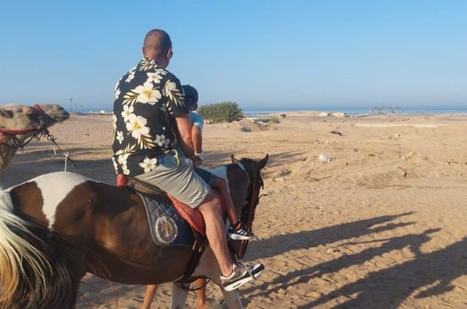 Hurghada Desert and Beach Horse or Camel Riding Adventures