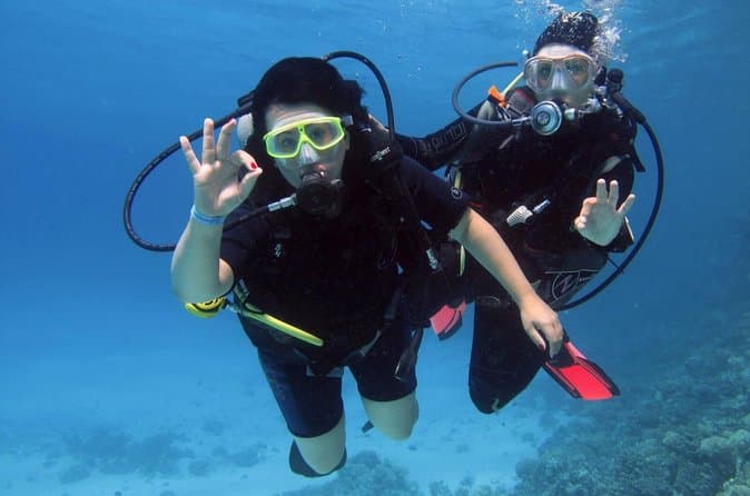 Intro Dive in Hurghada