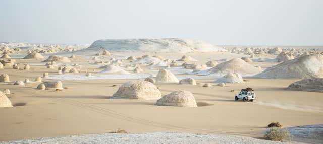 Witte Woestijn en oase Bahariya: privé dagtrip