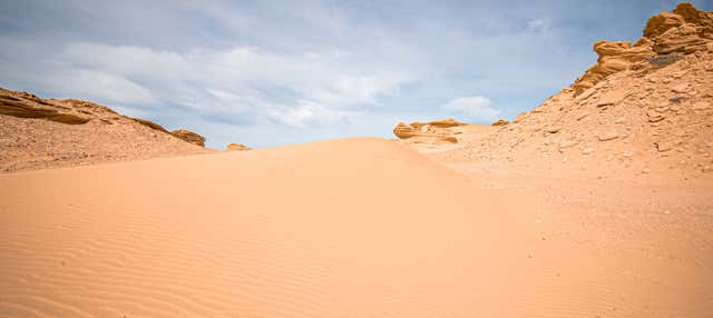 Excursion to the Fayoum Oasis