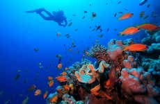 Red Sea Beginners Scuba Diving