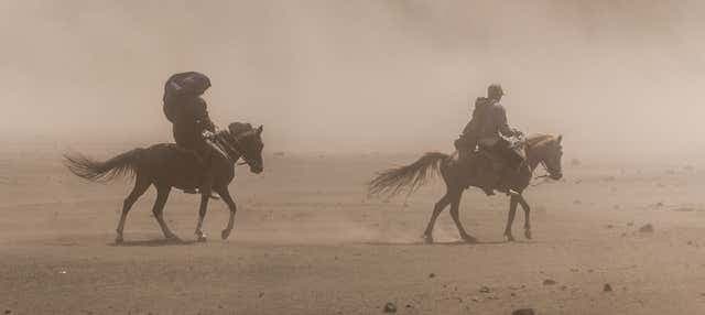 Horseback Riding in Hurghada