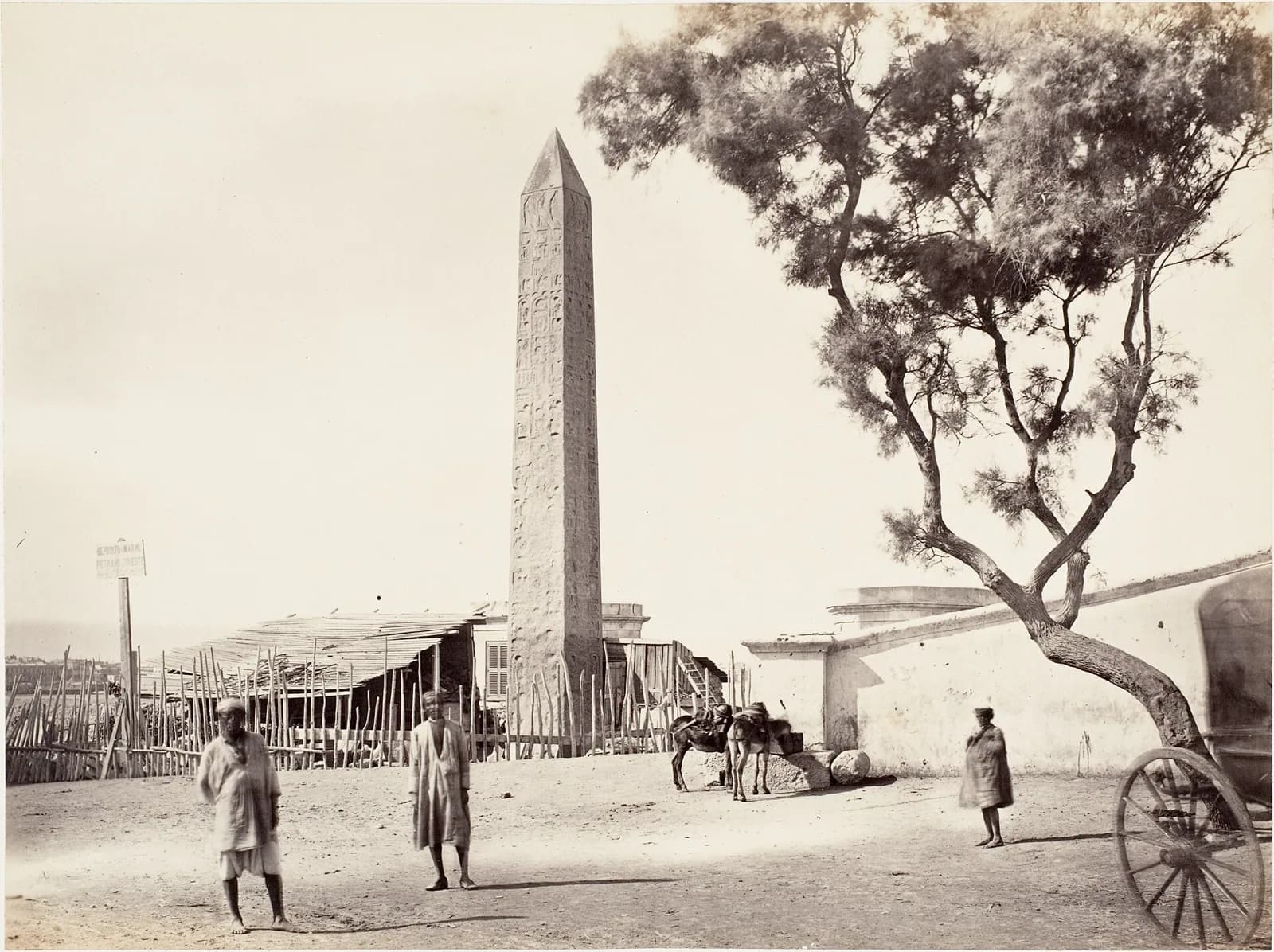 Alexandria City Tour — Citadel, Catacombs & Library