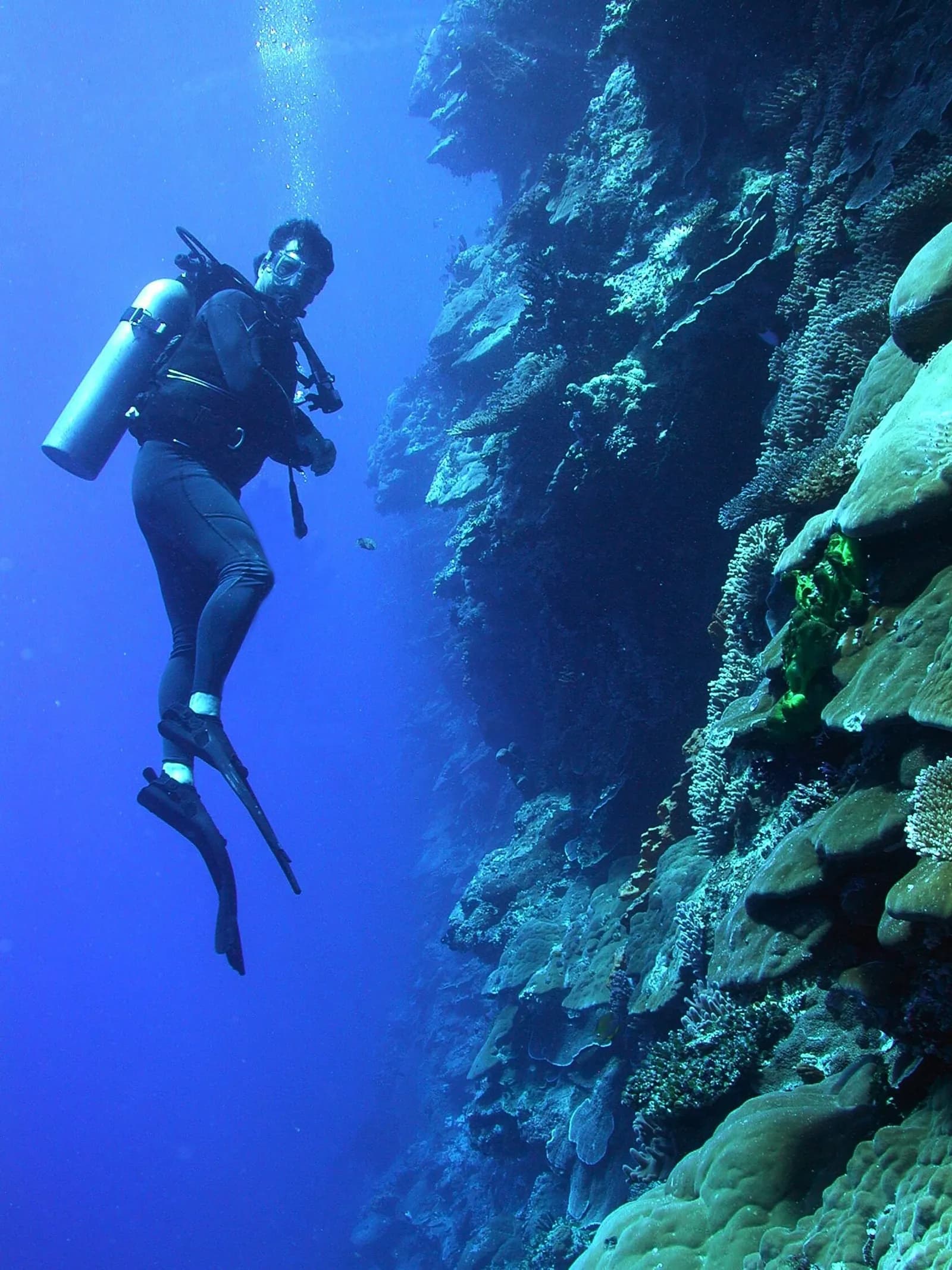 Best Dive Centres in Hurghada (2026): CDWS-Licensed Centres Compared