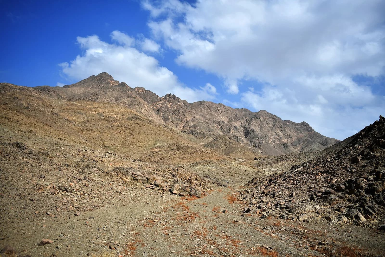 Hurghada Super-Safari — Jeep, Bedouin Dinner & Stars