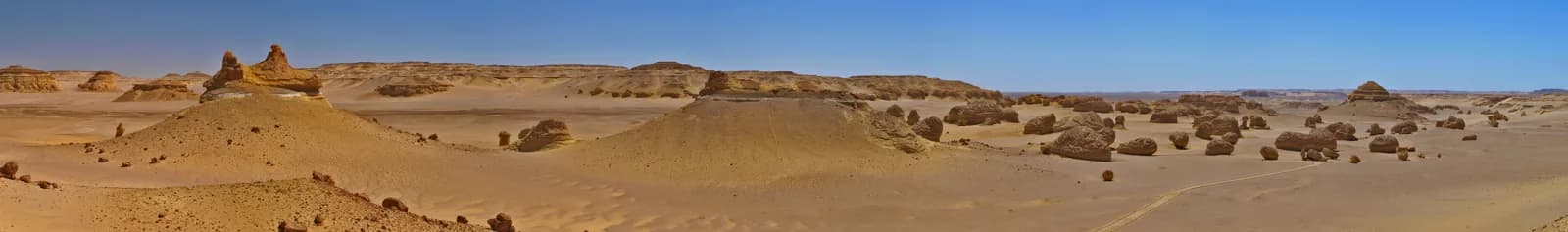 Wadi El Hitan (Whale Valley) & Fayoum 4x4 Safari