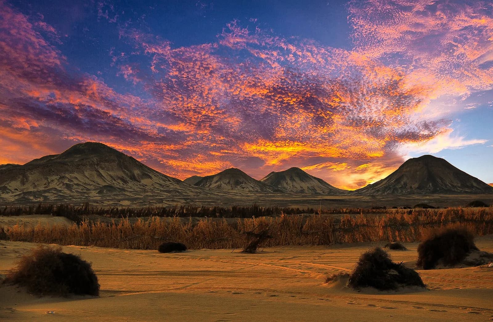 White Desert & Bahariya — Overnight Camp Safari