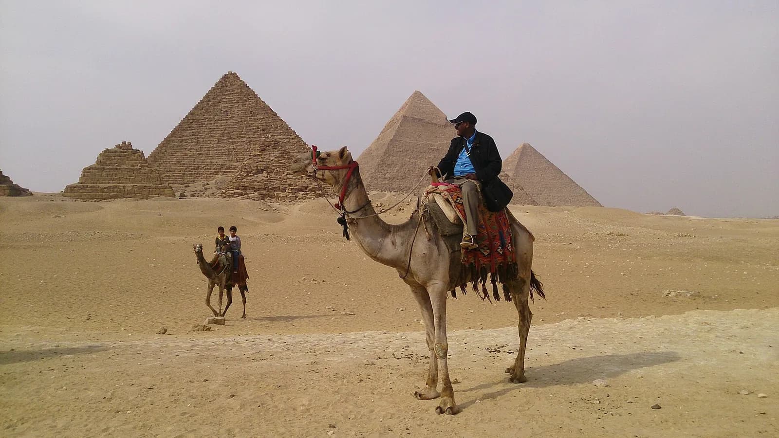 Camel Riding in Egypt (2026): Where to Do It, Real Prices & How to Avoid the Scam