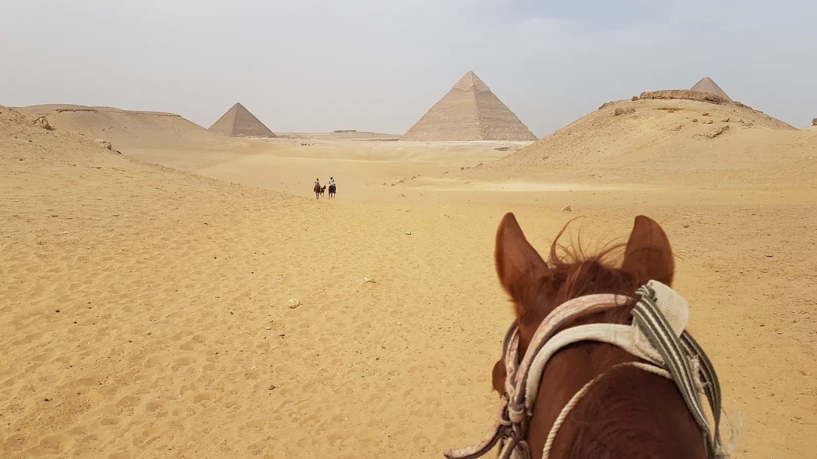 Horse Riding at the Pyramids: What to Know