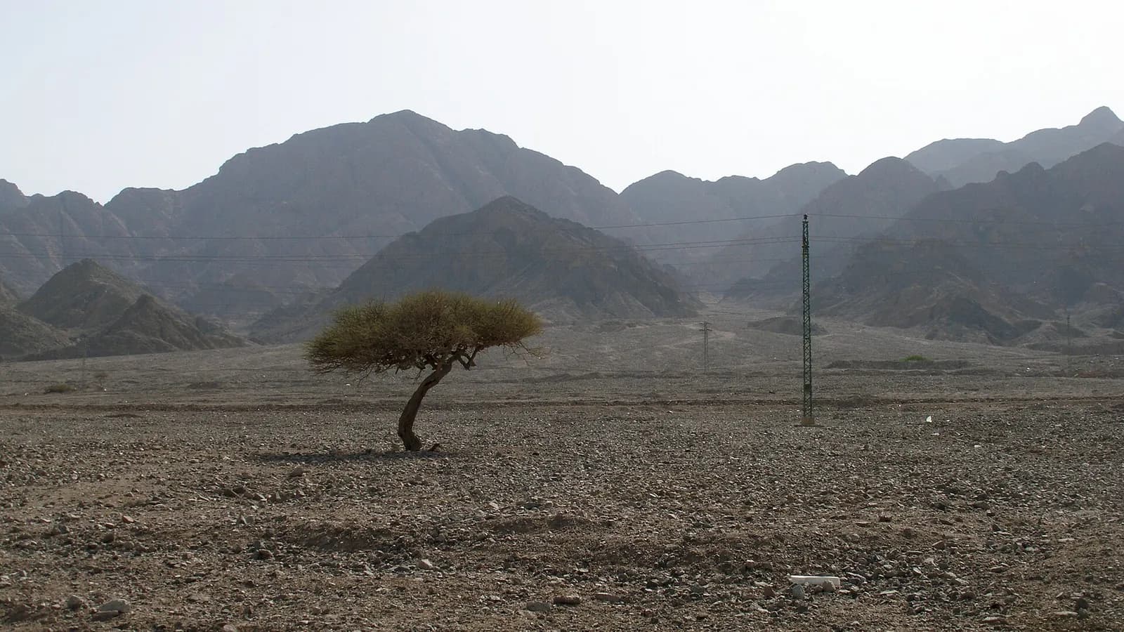 How Many Days Do You Need in Egypt? (2026)