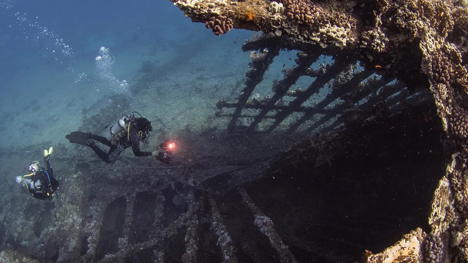 Die Hai-Riffe im offenen Roten Meer: Elphinstone, die Brothers und Daedalus