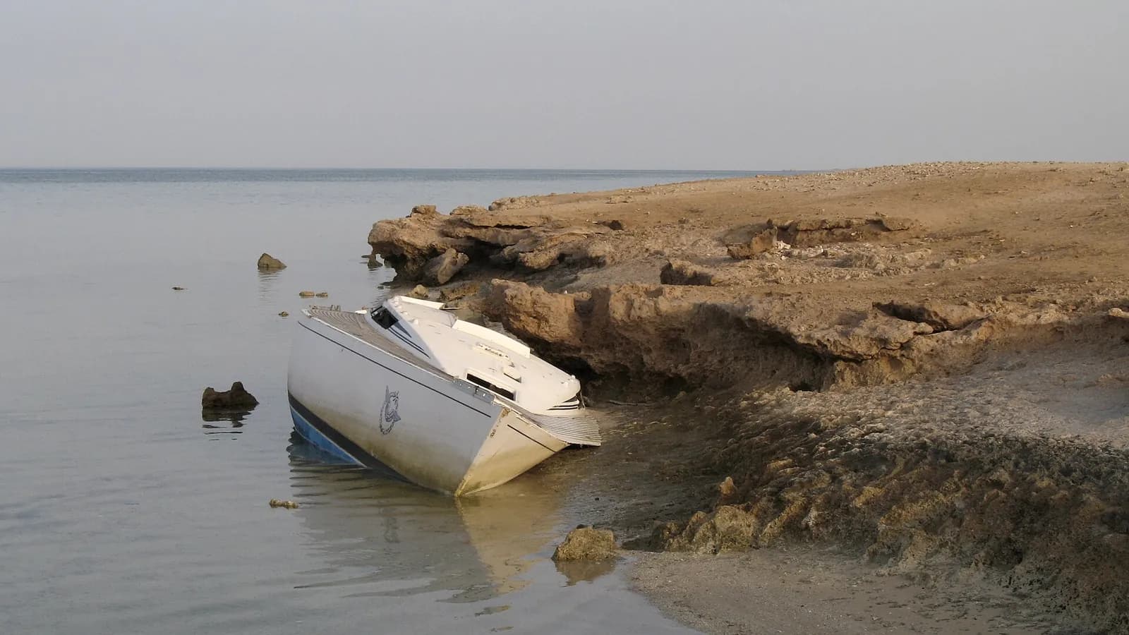 Things to Do in Marsa Alam (2026): Dolphins, Turtles & Reefs