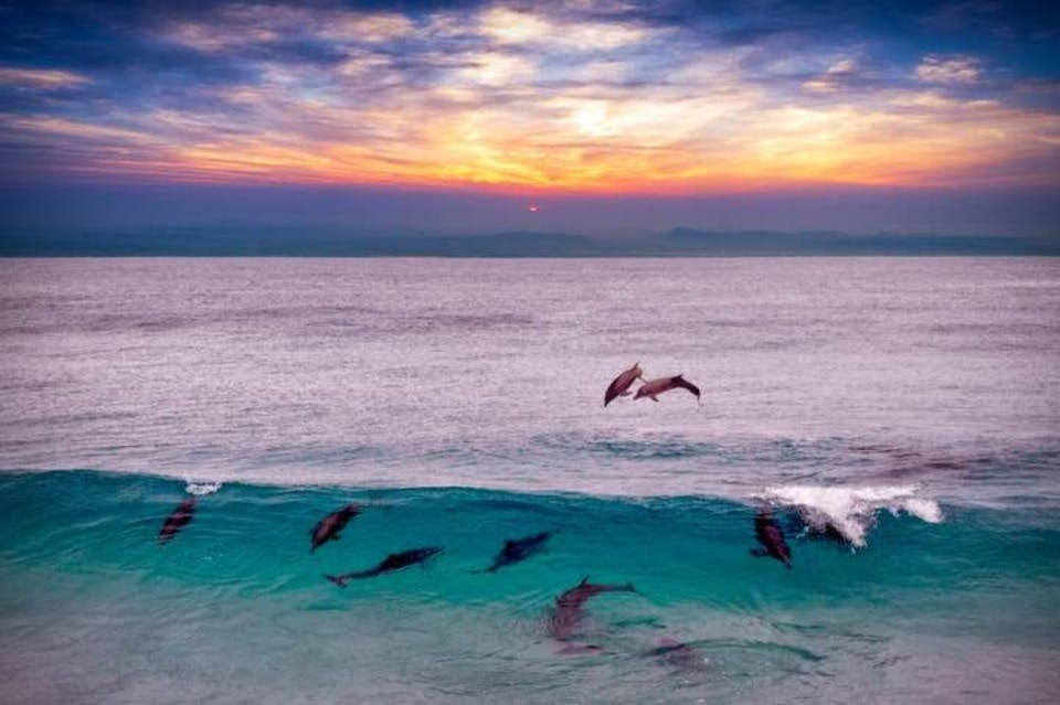 Marsa Alam: Overnight Stay at Sataya Dolphin House + Snorkeling