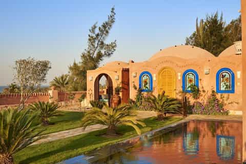 From Cairo: Full-Day Tour to El Fayoum