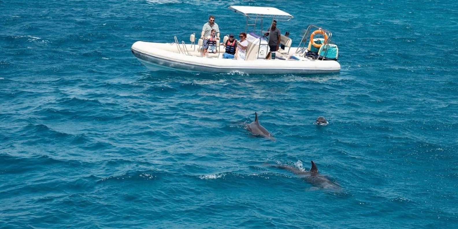 Hurghada: Orange Bay Dolphin Watching, Snorkeling & Fruits