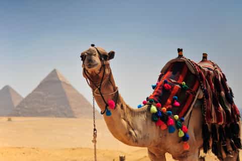 Hurghada: Cairo Pyramids, GEM & Citadel Day Trip by Bus