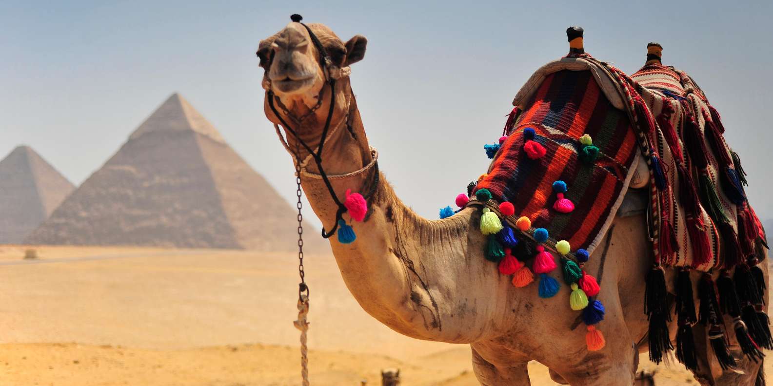Hurghada: Cairo Pyramids, Museum & Citadel Day Trip by Bus