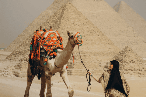 Cairo: Giza Pyramids Camel Ride and Egyptian Museum Tour