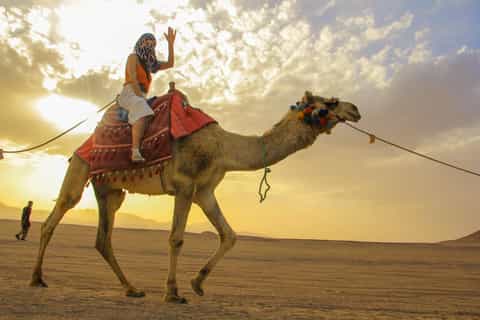 Hurghada: Camel Ride & horse ride and Off-Road Jeep Tour