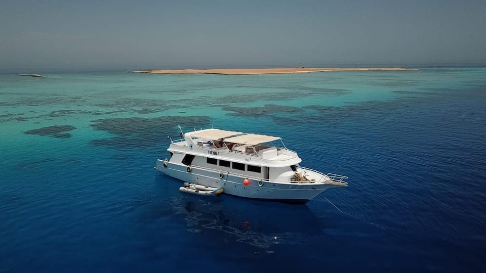 El Gouna: Diving - 2 Guided Boat Dives for Certified Divers