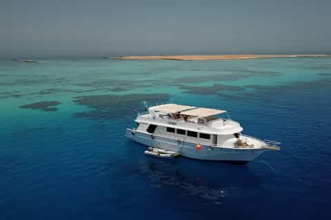 El Gouna: Diving - 2 Guided Boat Dives for Certified Divers