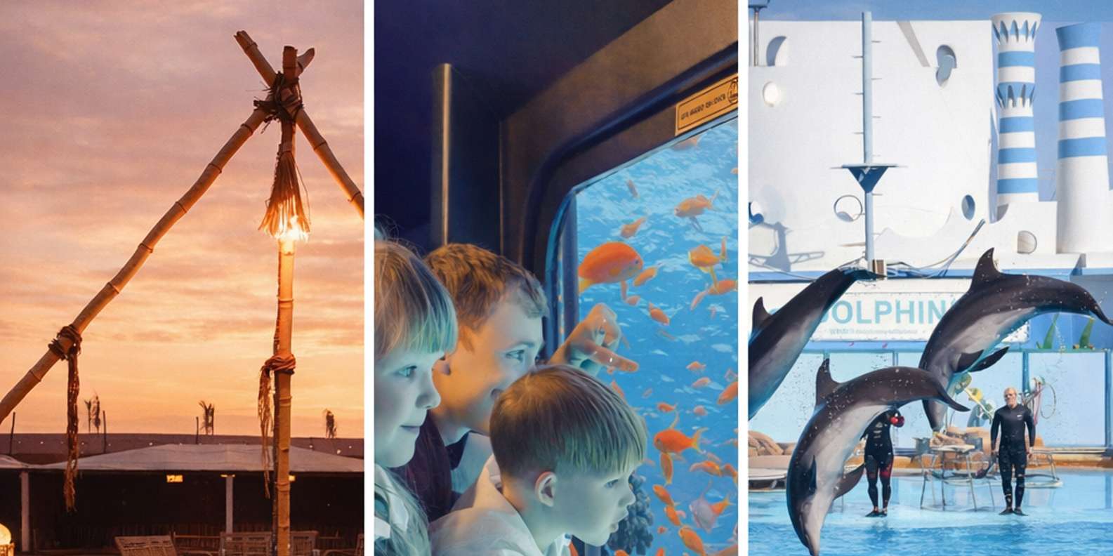 Hurghada: Dolphin Show, Snorkeling, submarine& Bedouin Tour