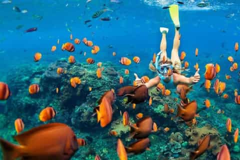 Sharm El Sheikh: Ras Mohammed Snorkeling Boat Tour