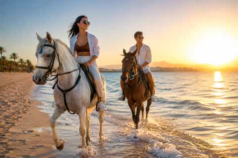 Red Sea : Horse Riding Beach and Desert Tour With Transfer