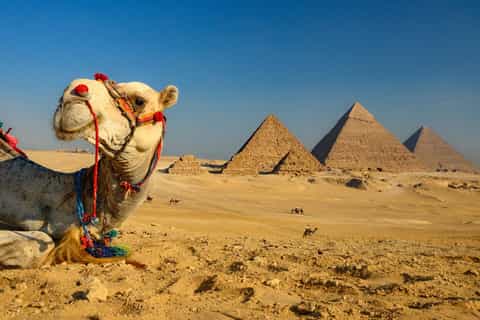 Hurghada: Cairo Pyramids, GEM & Citadel Tour by Flight