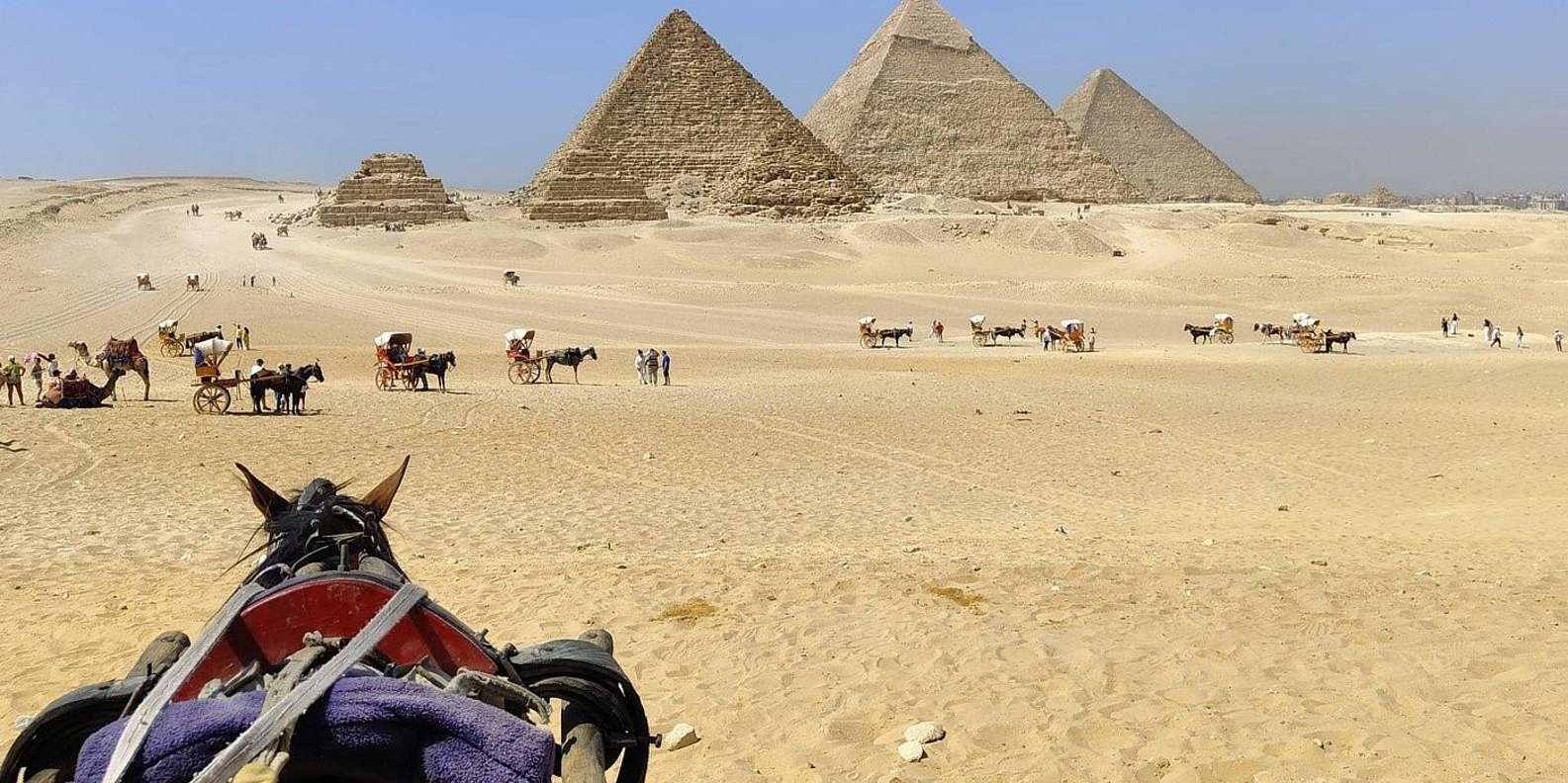 Hurghada: dagtour Caïro per vliegtuig, piramides, sfinx & museum
