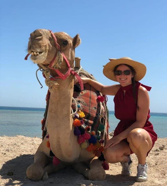 Hurghada: Camel Ride Vibes -The Ultimate Desert Experience
