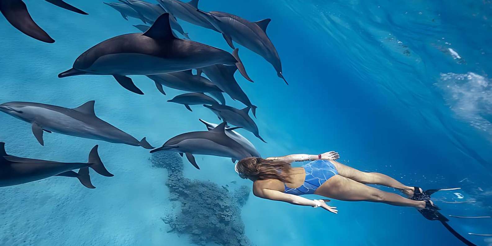 Sataya / Samadai Dolphin Reef — Snorkel Cruise