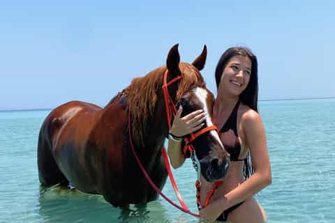 Beach & Desert Horse Riding with Swimming & Transfers
