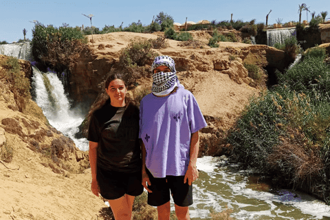 Cairo: Wadi El Ryan Fayoum Oasis &Bird Watching Private Tour