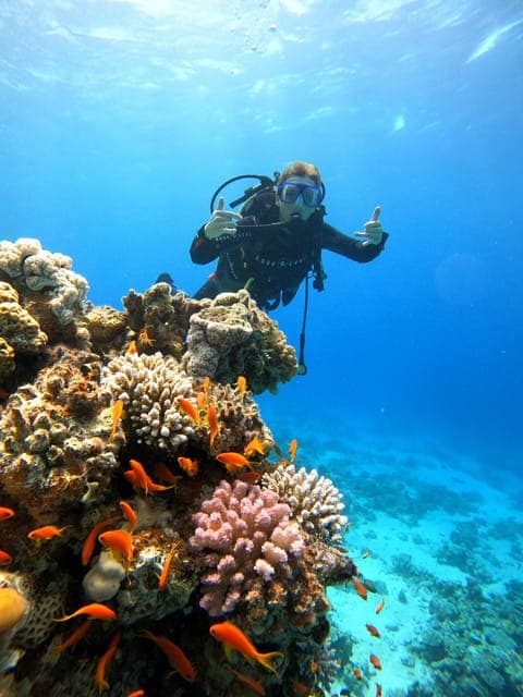 Dahab: Beginner Scuba Dive at Lighthouse w Photos & Transfer