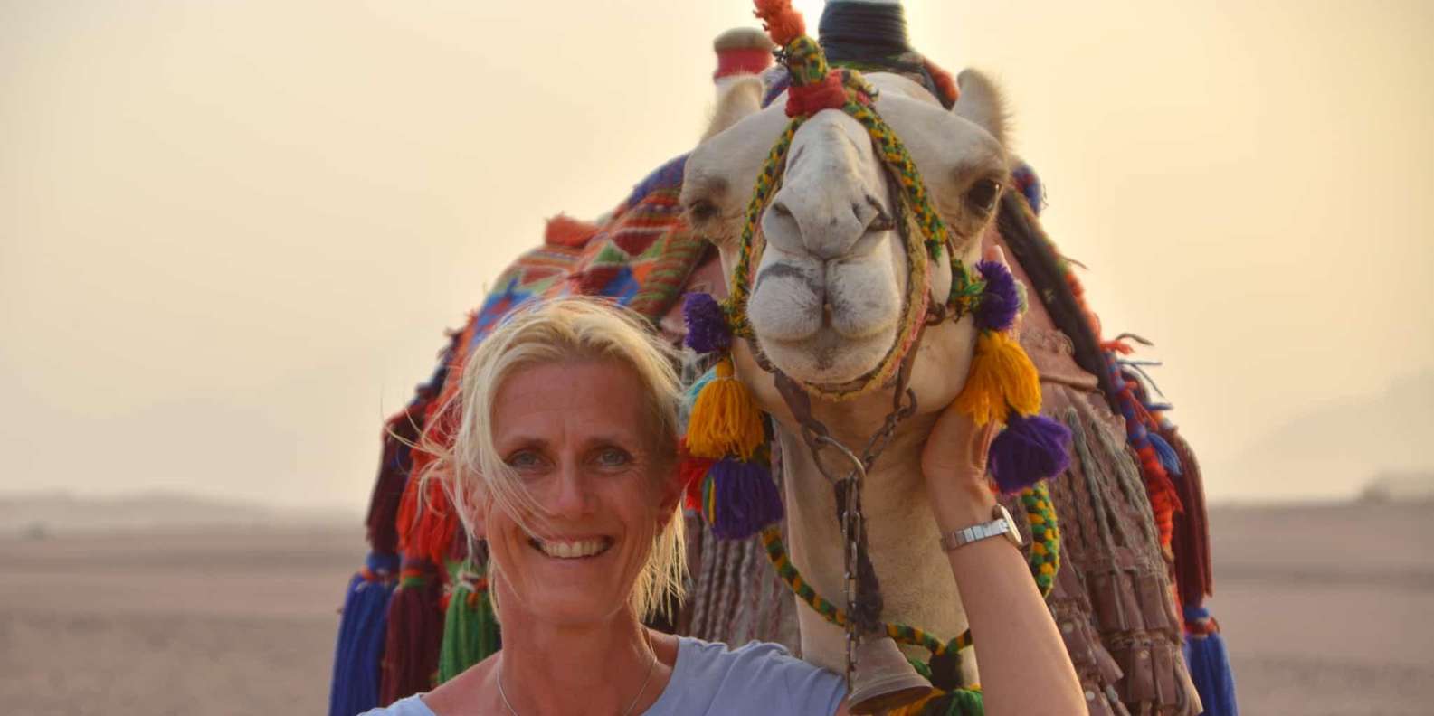 Hurghada: BADU Camel or Horse Ride, Dinner, & Stargazing